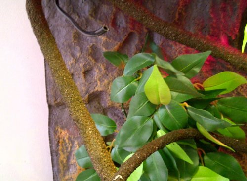 new cage-dripper.jpg