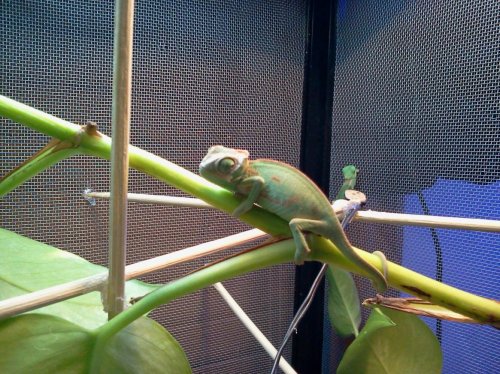 2012-07-01 20.04.51.jpg