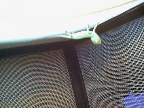 2012-07-01 20.05.02.jpg