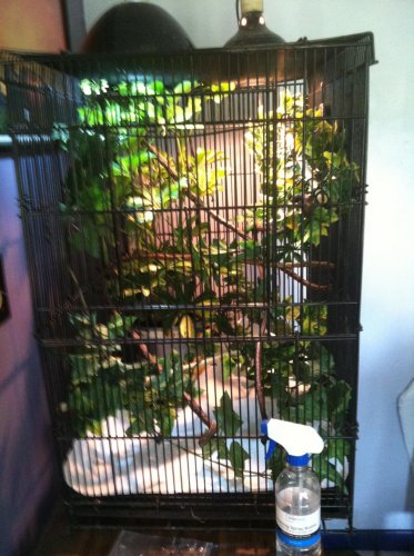enclosure 1.jpg