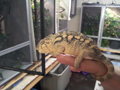 20120529_105848.jpg