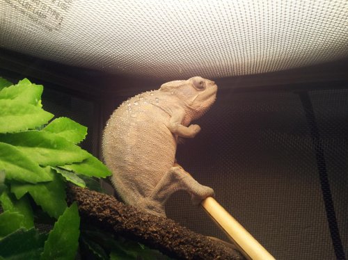 20120605_120050.jpg