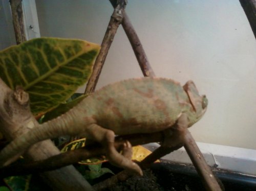 photo (2).jpg