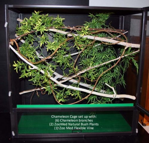 Cage with branches and plants.jpg