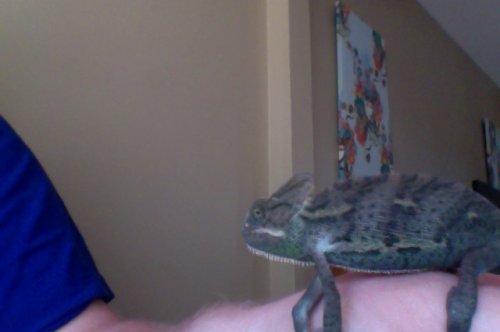 Photo on 7-5-12 at 6.35 PM.jpg