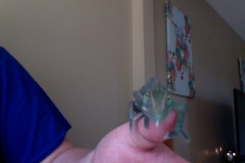 Photo on 7-5-12 at 6.35 PM #2.jpg