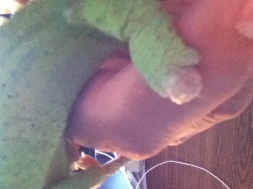photo14.jpg