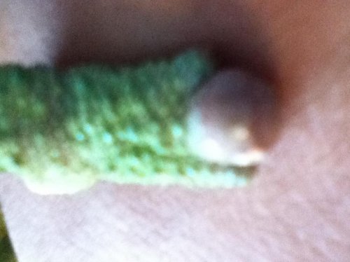 photo15.jpg