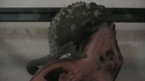 IMGA0252.JPG