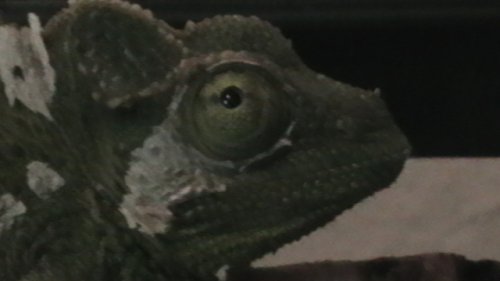 IMGA0253.JPG