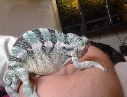 2012-07-05 14.37.09.jpg