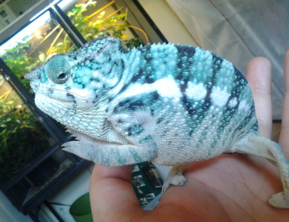 2012-07-05 14.38.25.jpg