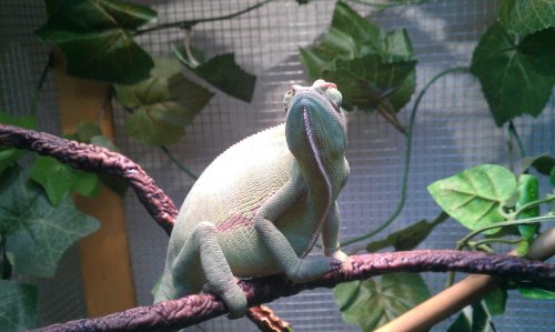 IMAG0188.jpg