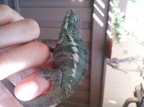 20120711_164747.jpg