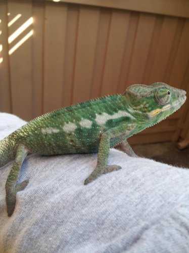 20120711_165023.jpg