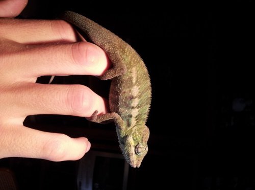 20120711_164928.jpg