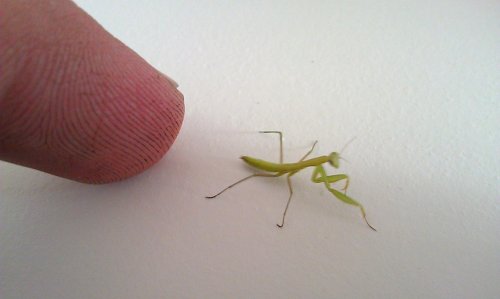 20120711192328.jpg
