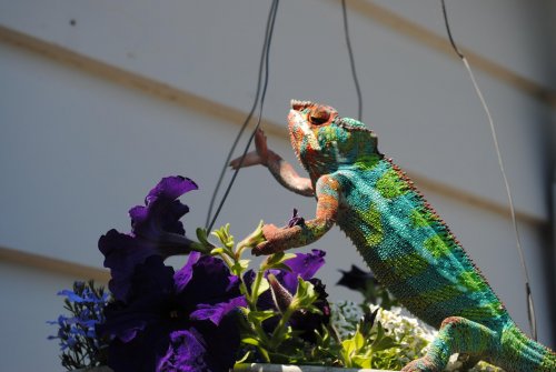 DSC_0034.jpg