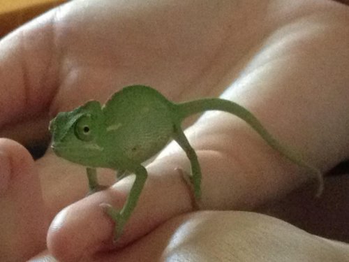 Iphone Pics (7-8-12) 020.JPG