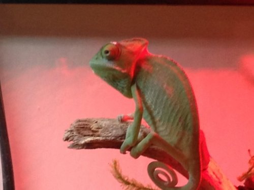 Iphone Pics (7-8-12) 023.jpg