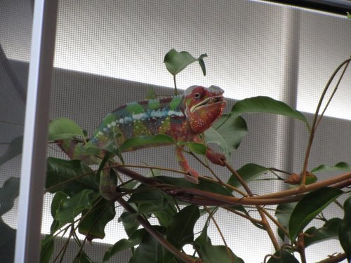 IMG_0223.jpg