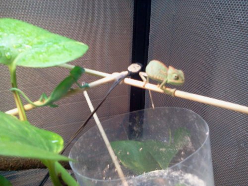 2012-07-14 20.49.11.jpg