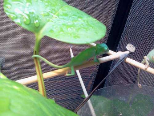 2012-07-14 20.49.22.jpg