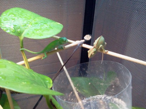 2012-07-14 20.49.30.jpg