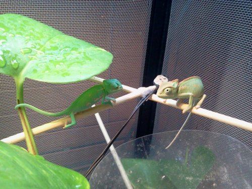 2012-07-14 20.49.39.jpg