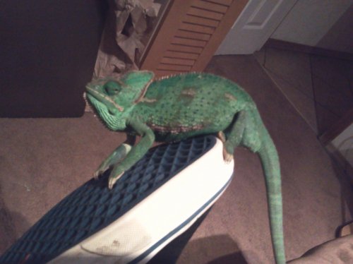 2012-07-14 23.08.31.jpg