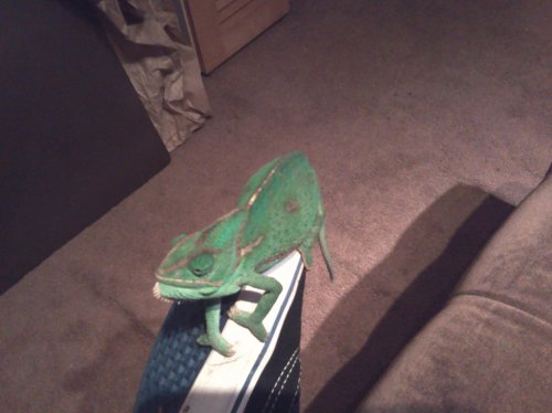 2012-07-14 23.08.48.jpg