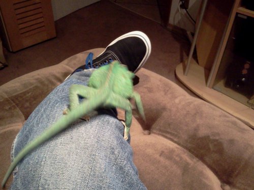 2012-07-14 23.10.09.jpg