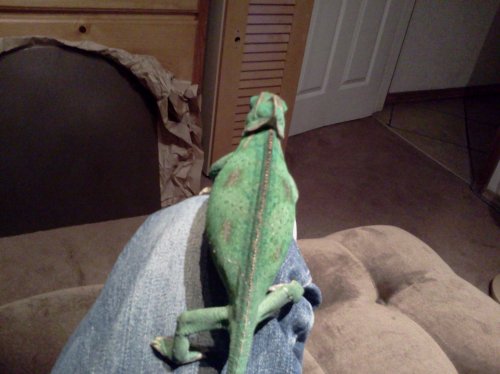 2012-07-14 23.10.32.jpg