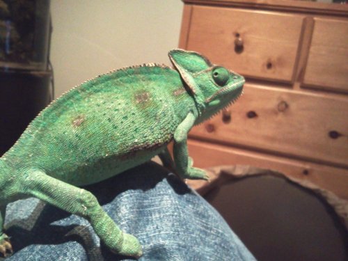 2012-07-14 23.10.44.jpg