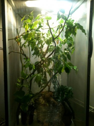 photo-9kk.jpg