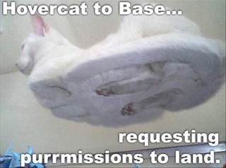 ImageUploadedByTapatalk1342392978.269467.jpg