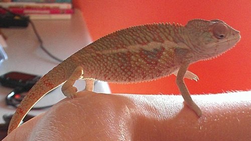 IMAG0403.jpg