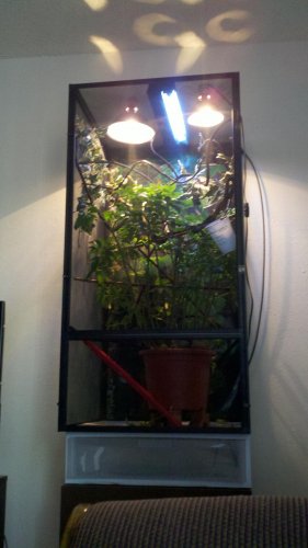 2012-07-17_17-35-10_234.jpg
