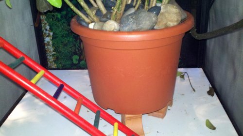 2012-07-17_17-37-16_307.jpg
