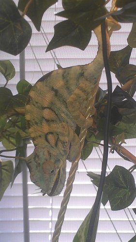 IMAG0466.jpg
