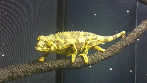 2012-07-18_16-37-57_838.jpg