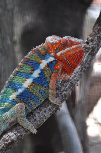 a little excited1.jpg