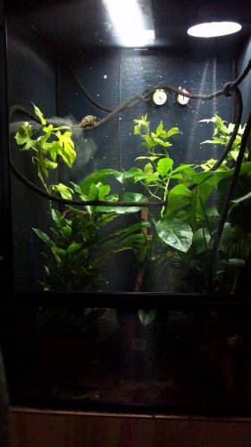 2012-07-18_16-44-58_352 (2).jpg