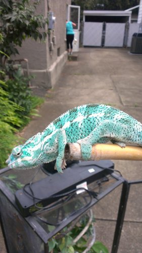 IMAG0046.jpg
