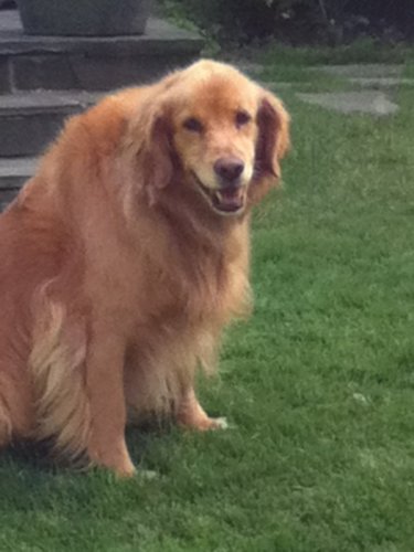 happy abby.JPG