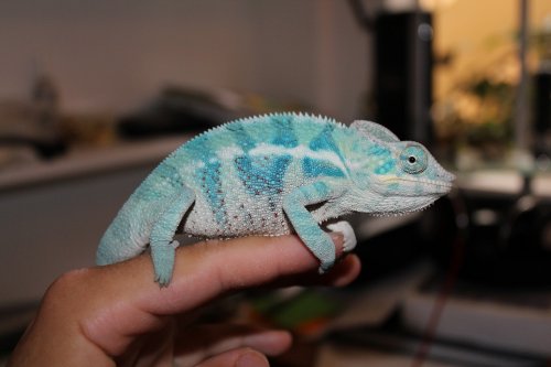 update on ambanja 001.JPG