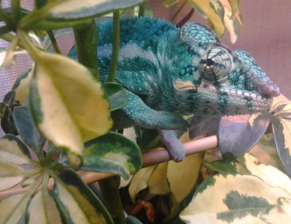 2012-07-17 19.38.16.jpg