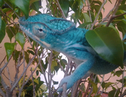 2012-07-17 19.43.31.jpg