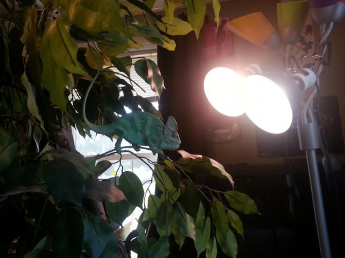 20120723_143741.jpg