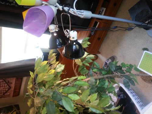 20120723_142435.jpg